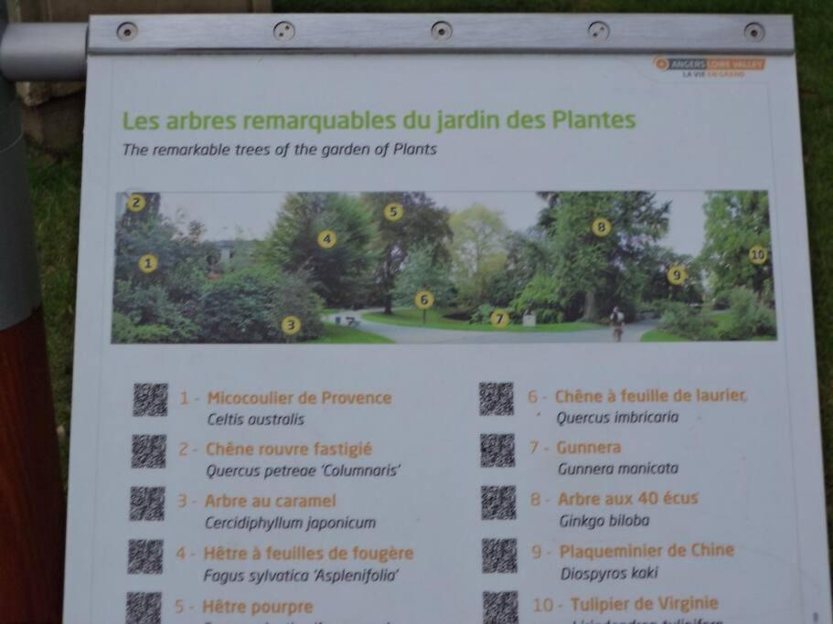 앙제 Le Grey-Jardin Des Plantes-Centre Des Congres 아파트 외부 사진